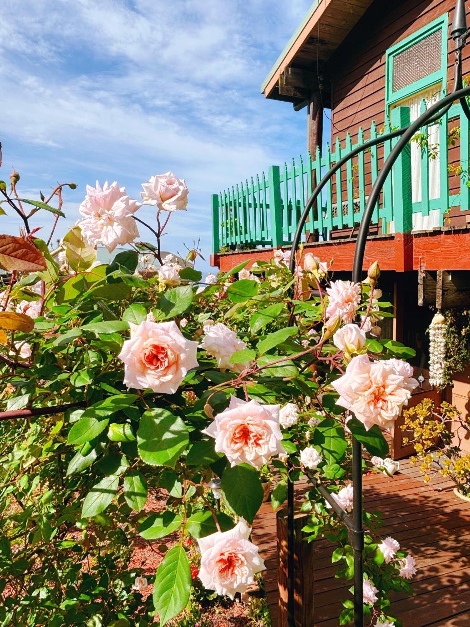 The Goat And Goose Bed & Breakfast Lakes Entrance Exterior photo
